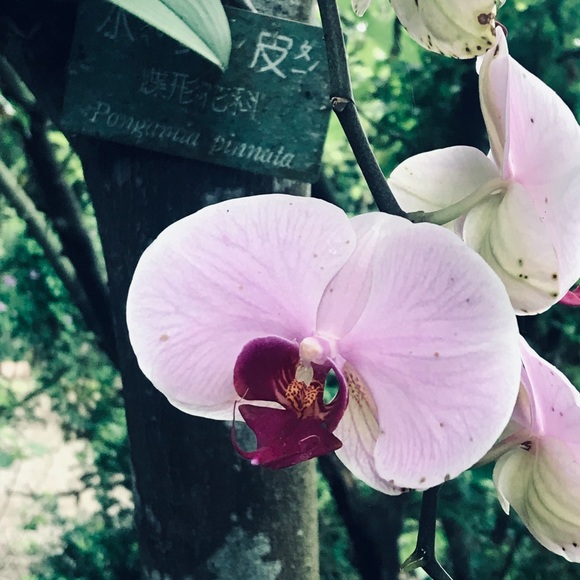 sanmagnoyip21